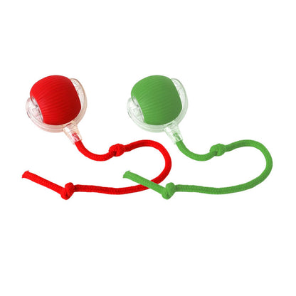 🐱Smart Automatic Rolling Pet Ball🐶