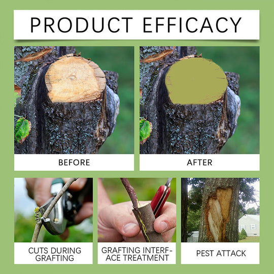 Genezende antiseptische zalf voor boomwond