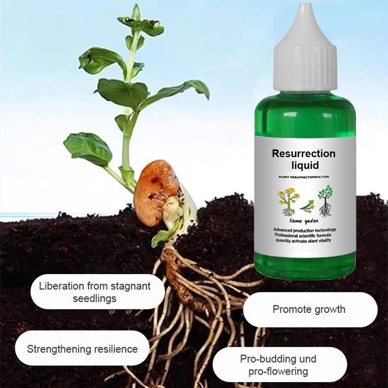 🔥Hot Sale 50% OFF🌿Plant and Flower Activation Liquid Solution
