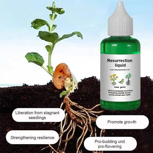 🔥Hot Sale 50% OFF🌿Plant and Flower Activation Liquid Solution