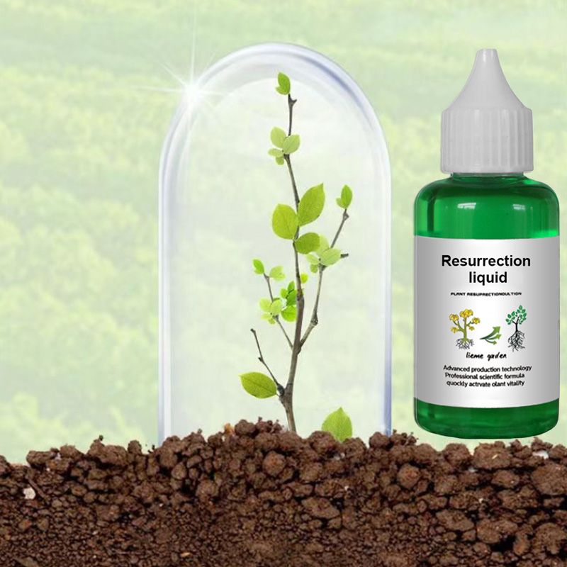 🔥Hot Sale 50% OFF🌿Plant and Flower Activation Liquid Solution