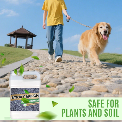 ⏳Last Day 50% OFF⏰Quick-Drying Sticky Landscape Adhesive
