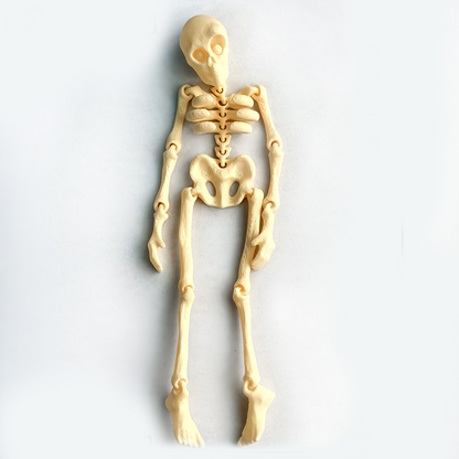 Vintage Skeleton Fridge Magnet