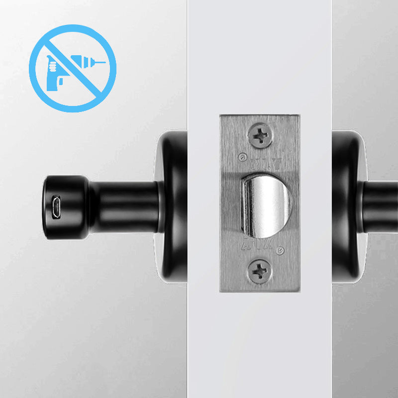 🔥2025 Hot Sale🔥Fingerprint Smart Door Lock Handle With Bluetooth APP Control