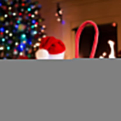 💝Gift Idea Hot Sale 50% OFF🎁Christmas Gift Bags🎅
