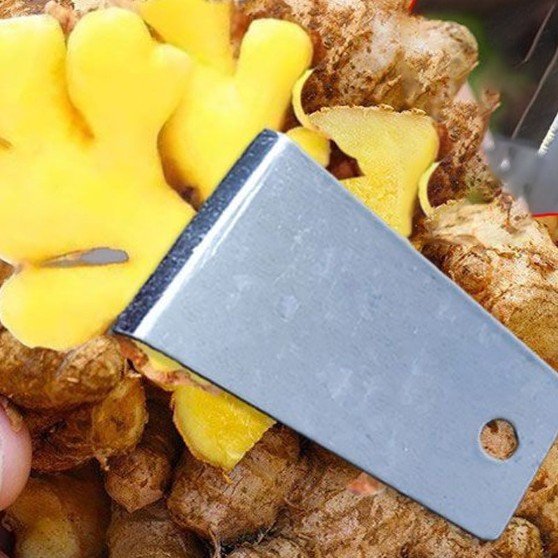 🔥 BUY 2 GET 1 FREE! ✨ Sharp & Portable Ginger Peeler🧄🥕