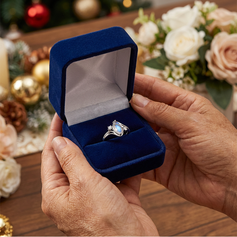 ✨Ovalni geometrijski prstan iz sterling srebra S925 s cirkonijevimi poudarki💍