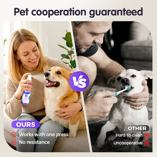 🔥Limited Time Buy 2 Get 1 Free🔥Teeth Cleaning Spray for Pets
