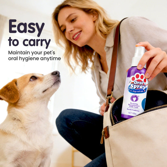 🔥Limited Time Buy 2 Get 1 Free🔥Teeth Cleaning Spray for Pets