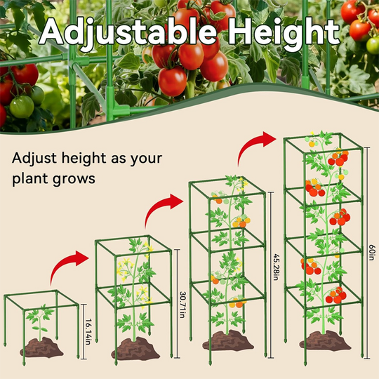 🍅 ON SALE!🍅 Adjustable Modular Plant Support Frame