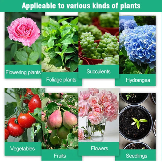 ✨Plant Hair Root Growth Nutrition Powder