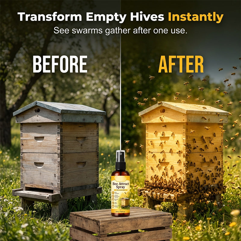 🏆 Last Day Special Price £9.99 ! 🐝Buy 2 Get 1 Free🎁Natural Outdoor Bee Attractant Spray